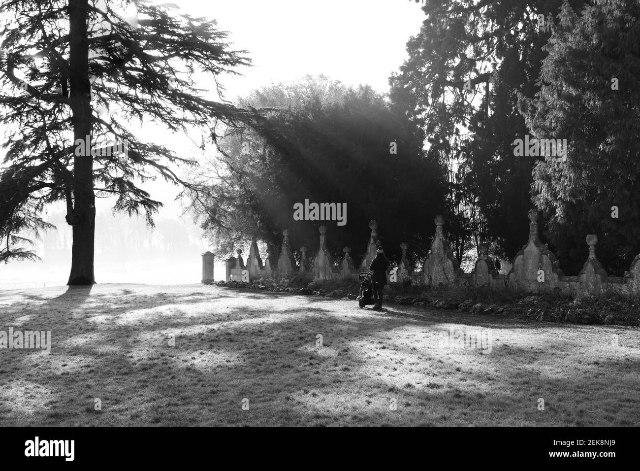 Sunlight environment Black and White Stock Photos & Images - Alamy