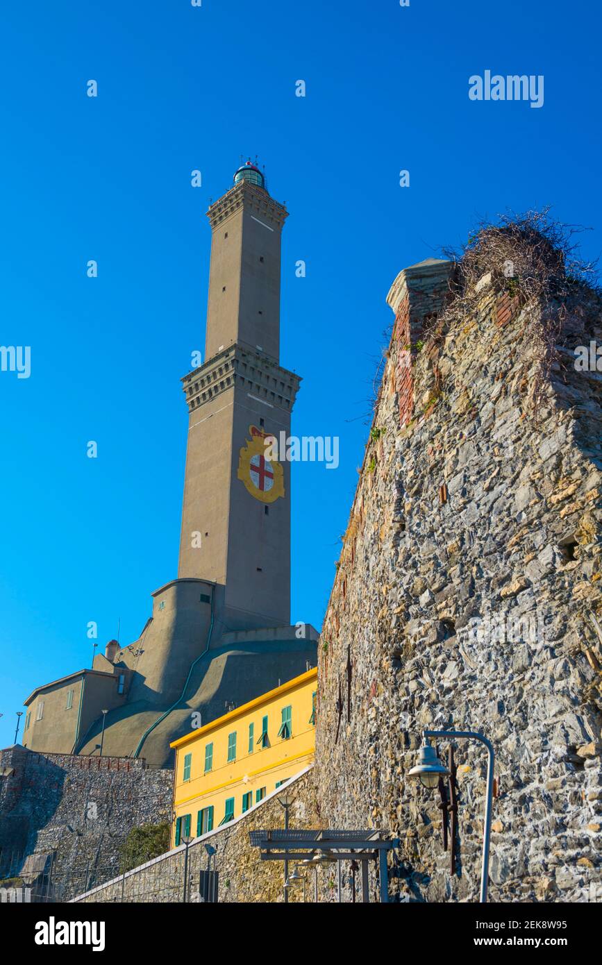 Lighthouse of Genoa or Lanterna di Genova in Liguria, Italy Stock Photo -  Alamy