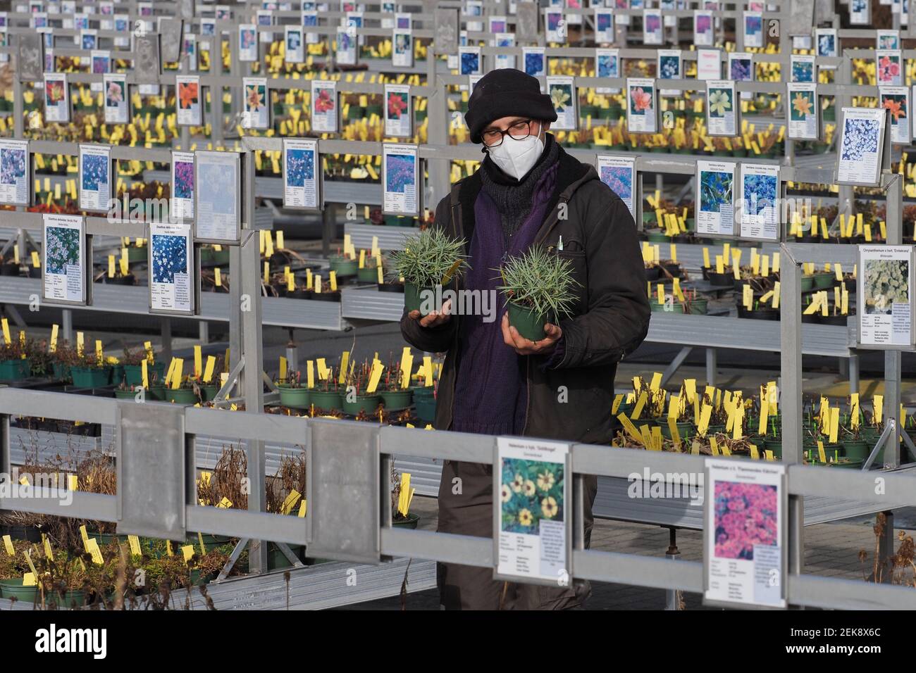 Potsdam, Germany. 23rd Feb, 2021. Gardener Björn Neue checks two