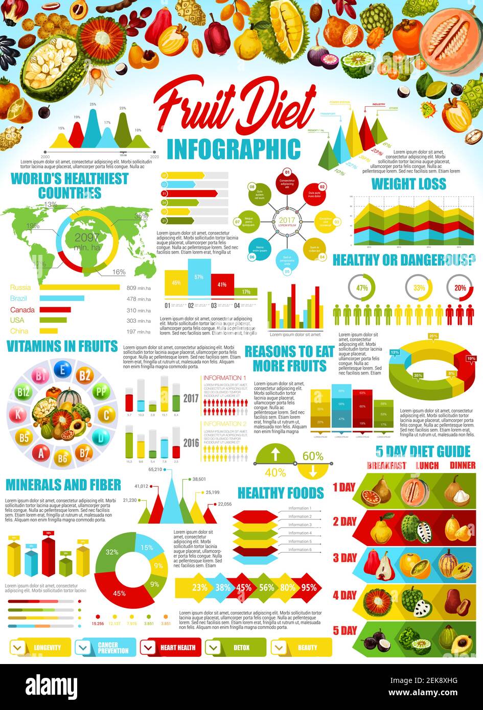 Fruit diet infographic vector design. Graphs and charts with statistic