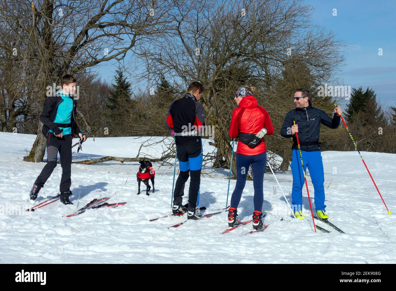 Four men and dog, cross country skiers, lifestyle fitness, winter sports Stock Photo