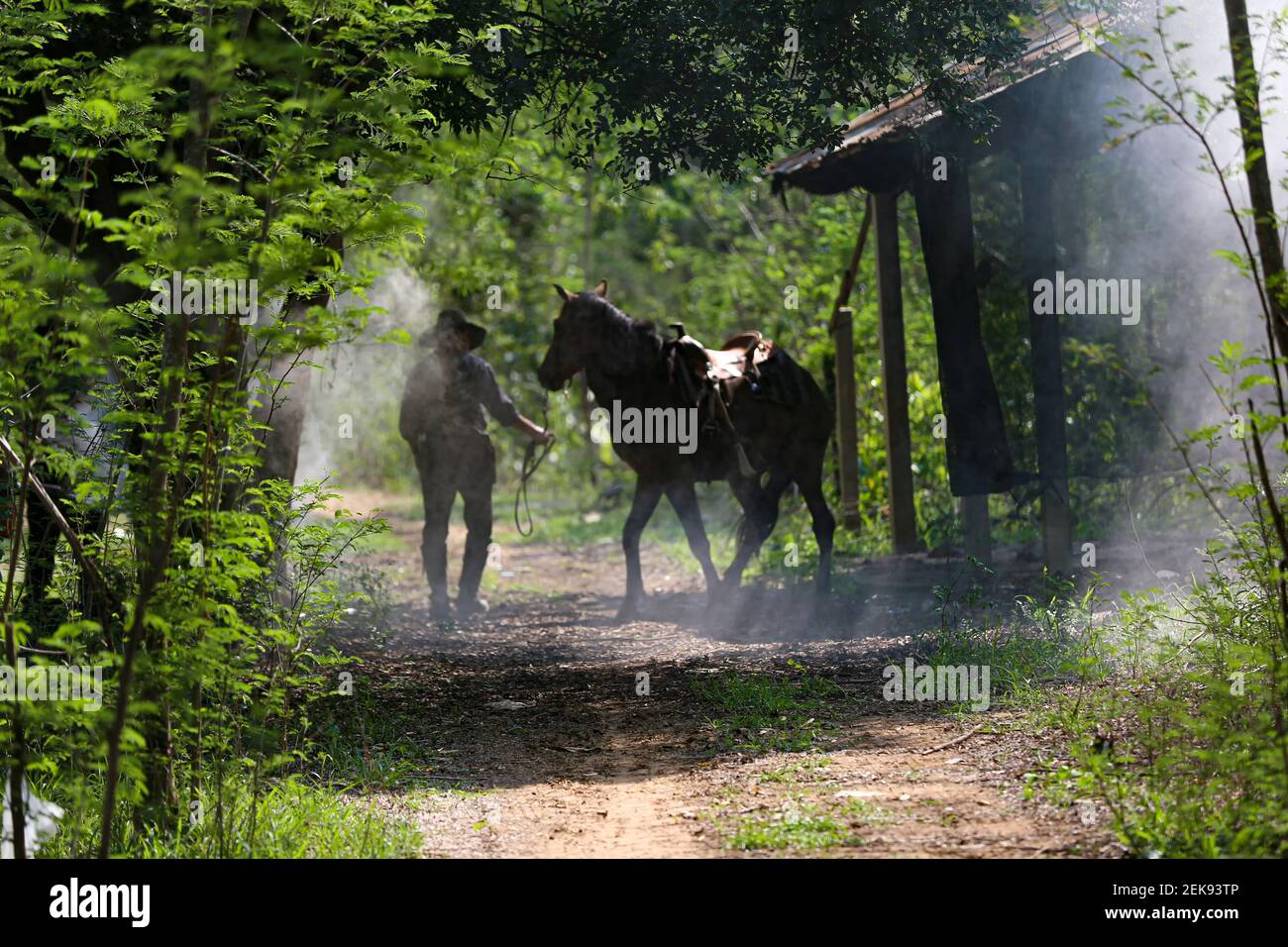 The silhouette of  rider as cowboy outfit costume with a horses and a gun held in the hand against smoke and sunset background Stock Photo