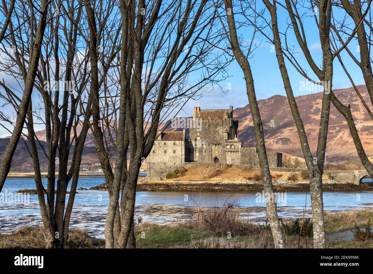 EILEAN DONAN CASTLE LOCH DUICH HIGHLAND SCOTLAND EARLY SPRING LOOKING THROUGH TREES TO THE ISLAND WITH THE FORTRESS Stock Photo