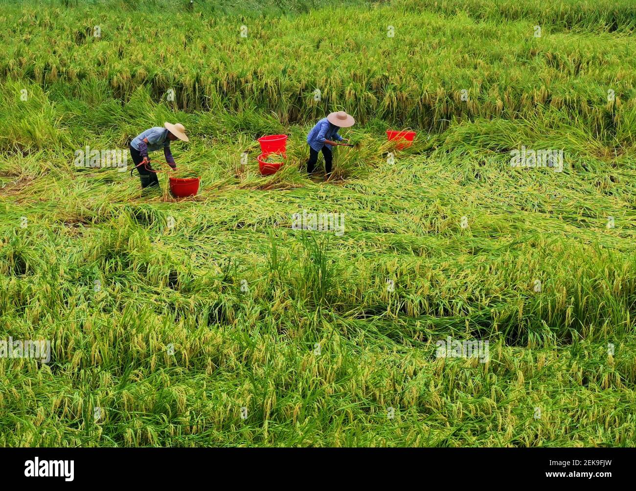 Guangxiï¼ŒCHINA-Affected by continuous heavy rainfall, some towns in ...