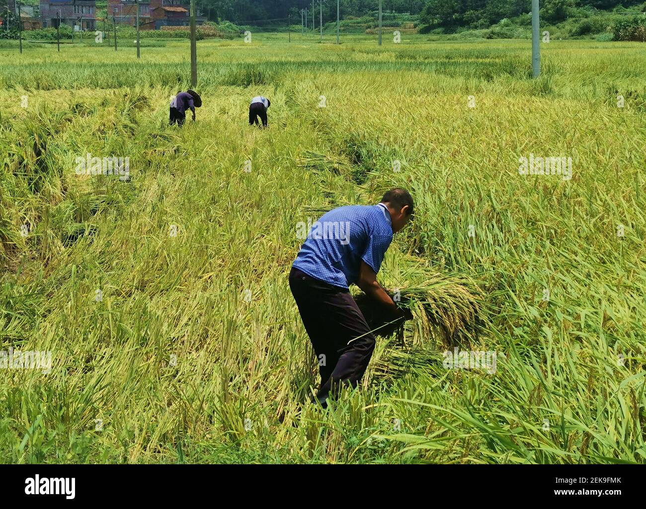 Guangxiï¼ŒCHINA-Affected by continuous heavy rainfall, some towns in ...