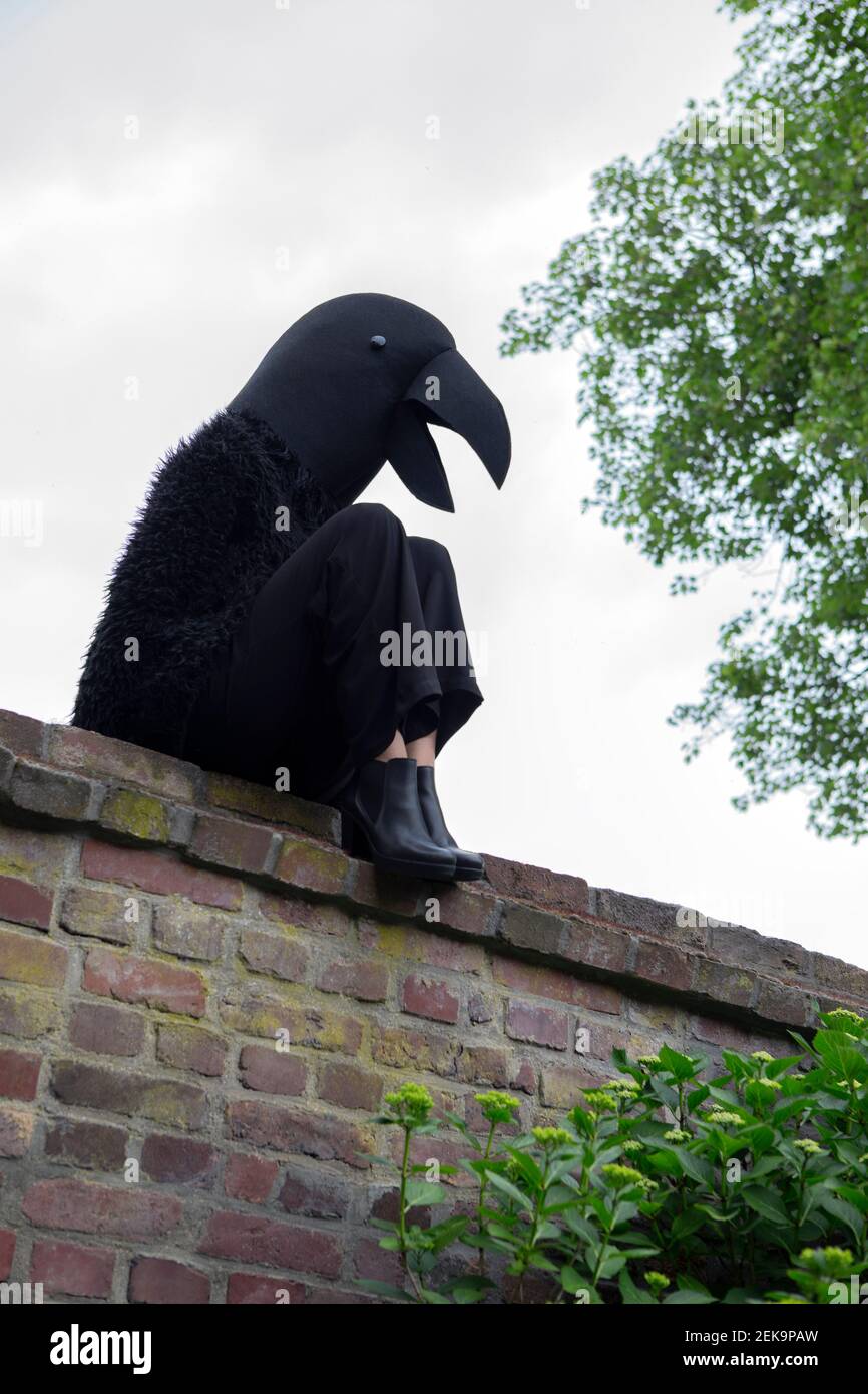 Woman in crow costume sitting on retaining wall against sky Stock Photo