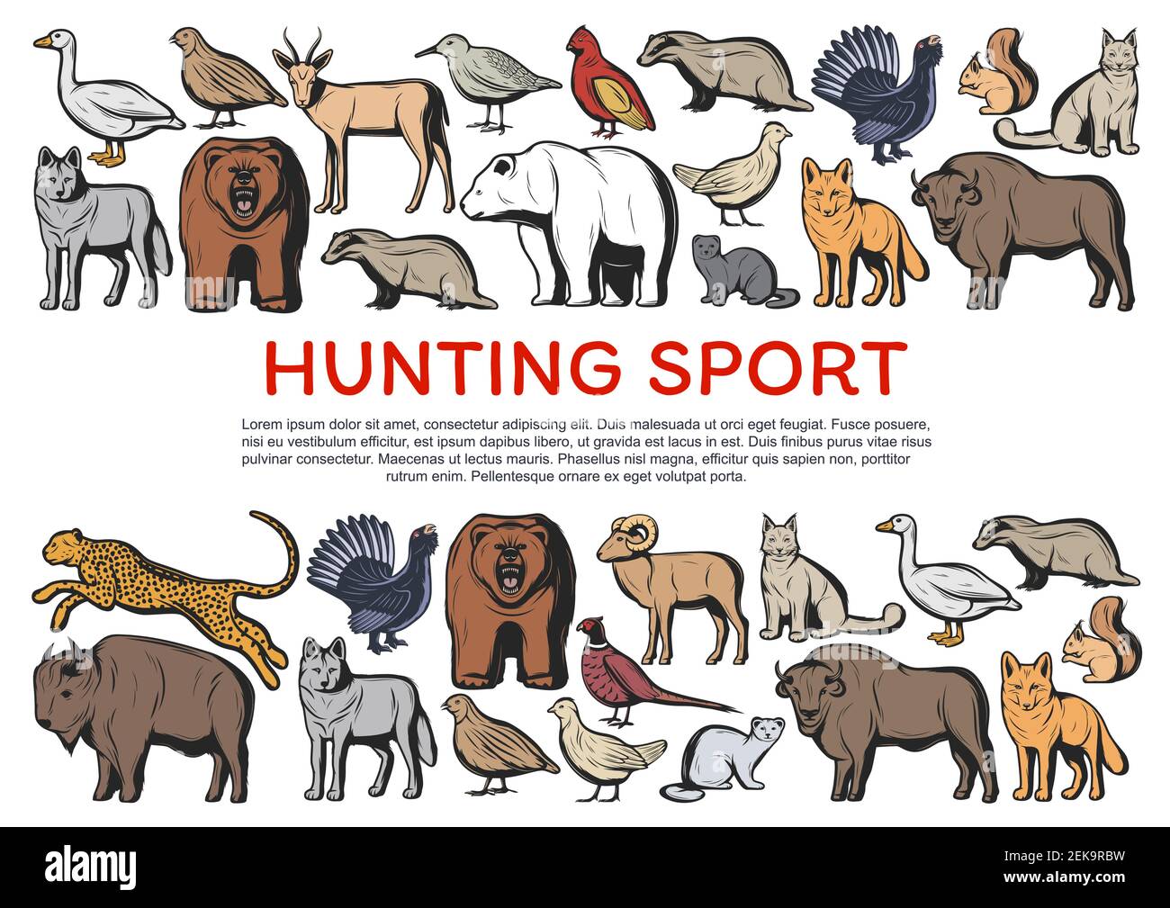 Hunting sport animals and birds vector banner of hunter club design