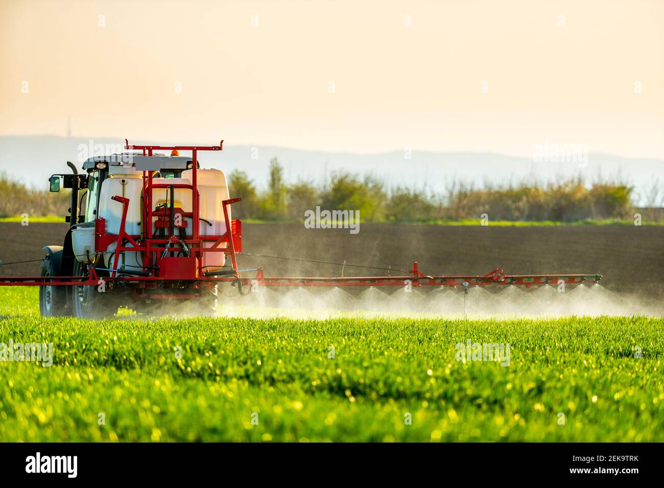 Tractor watering green crop in farm Stock Photo Alamy