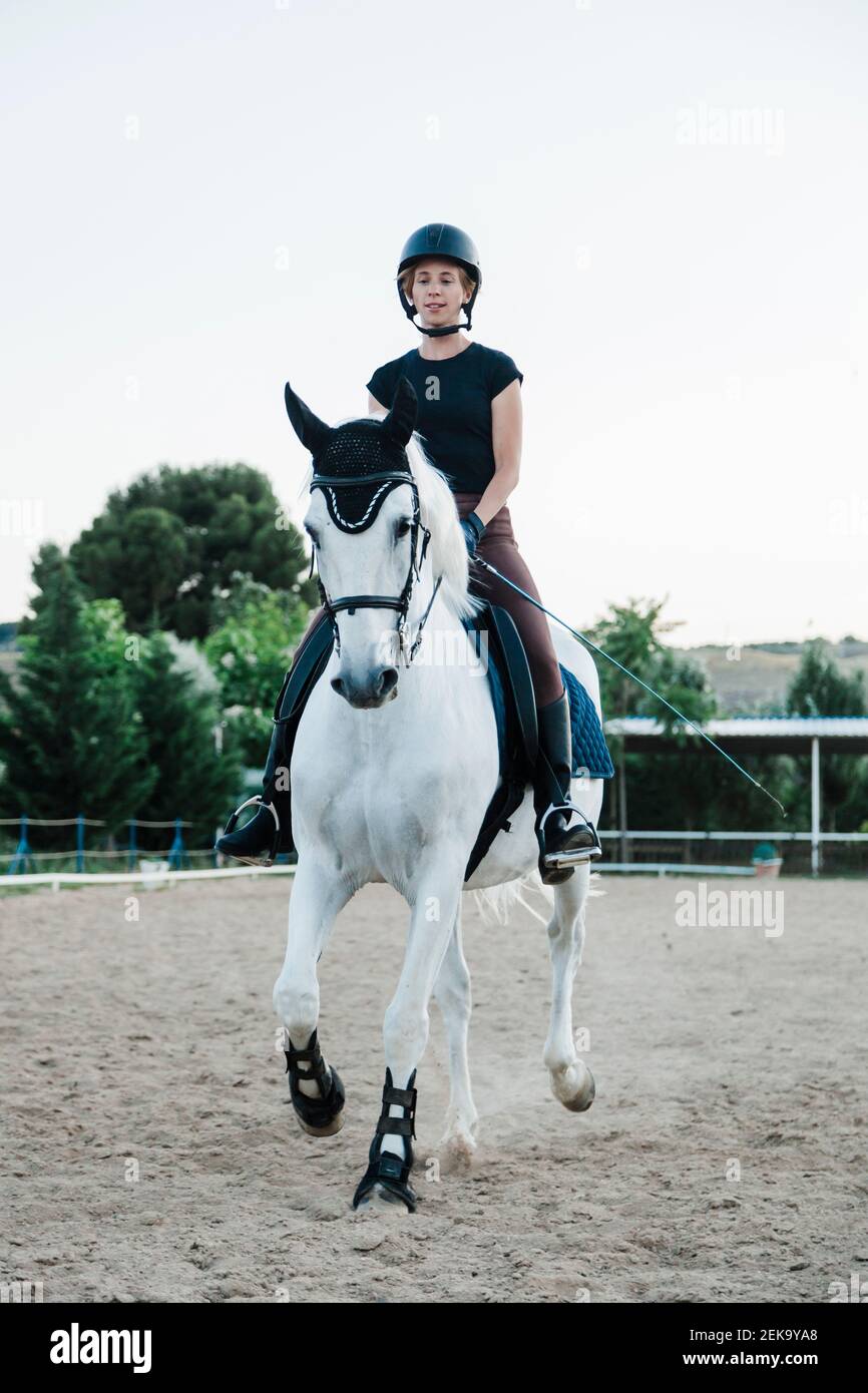 Woman riding andalusian horse hi-res stock photography and images - Page 2  - Alamy
