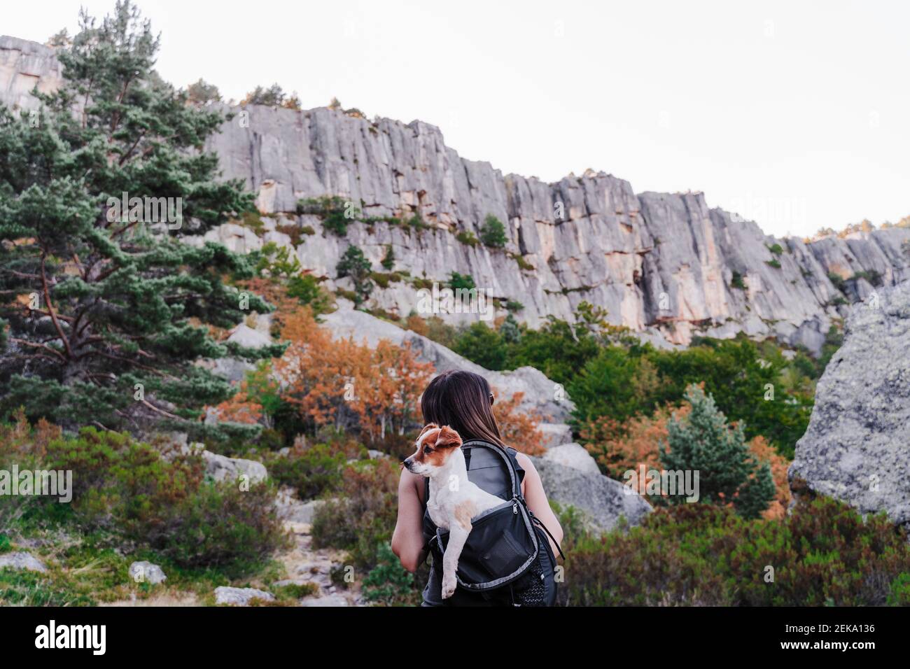 Hiking in mountain with dog hi-res stock photography and images - Alamy