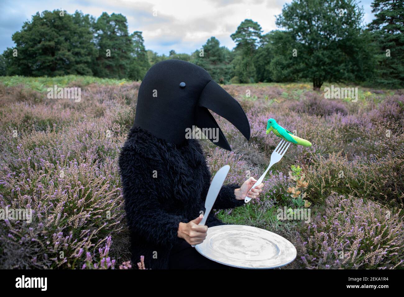 Female in crow costume eating grasshopper through fork in meadow Stock Photo