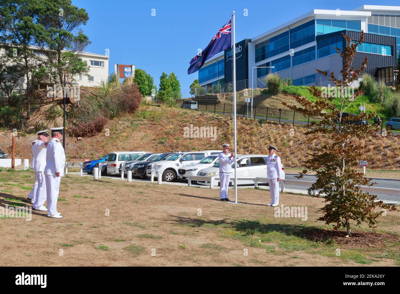 New Zealand Navy personnel ceremonially lowering the NZ flag on Waitangi Day Stock Photo