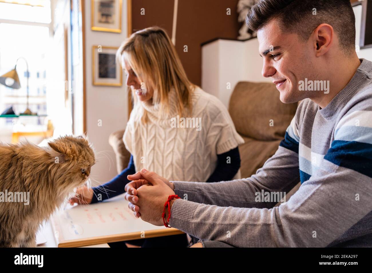 Smiling young patient looking at cat while sitting with counselor during session at work place Stock Photo