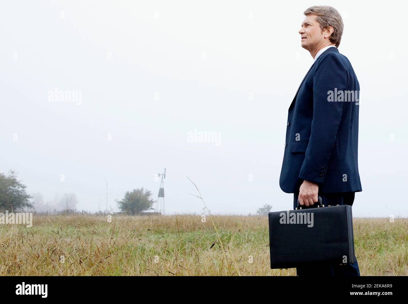 Businessman holding a briefcase and standing in a field Stock Photo