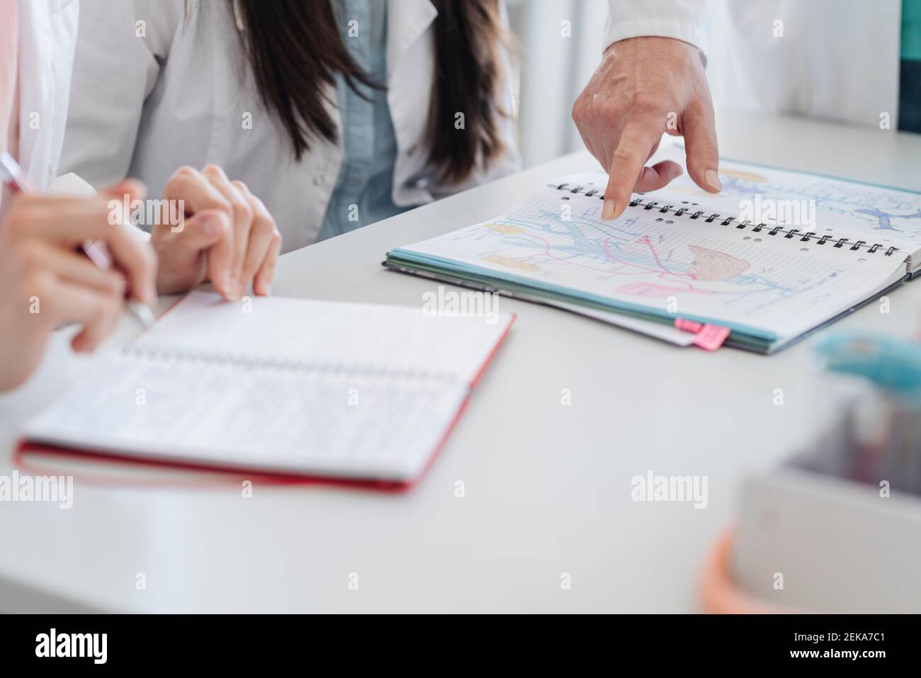 Crop view of finger pointing at notes in notebook in science class ...