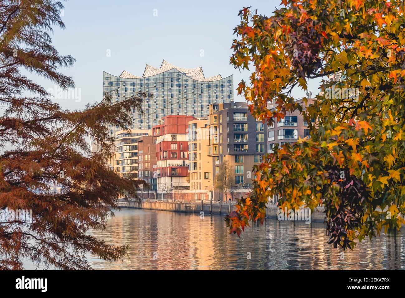 Germany, Hamburg, HafenCity with Sandtorhafen river and Elbphilharmonie concert venue in autumn Stock Photo