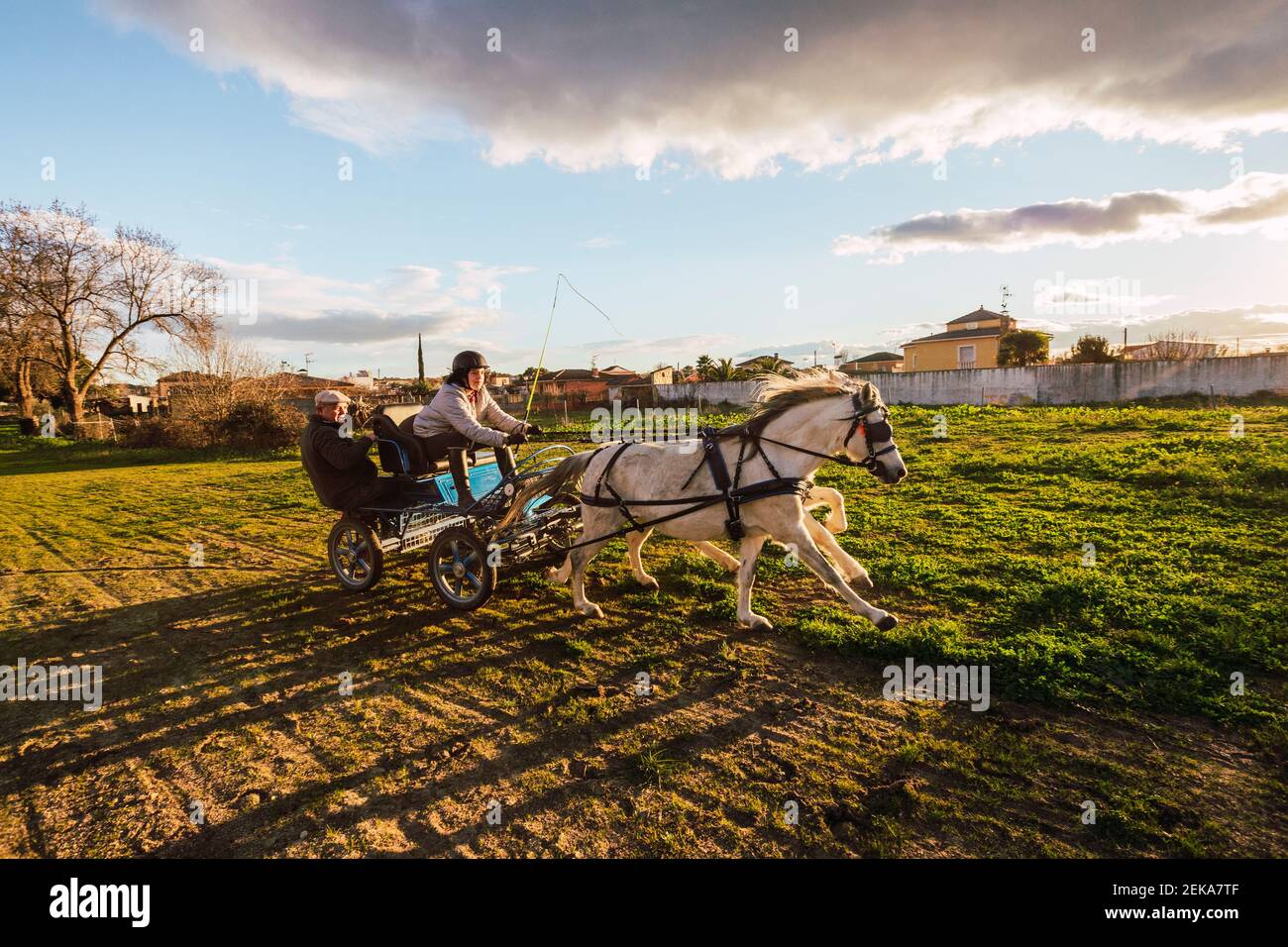 Animal trainers guiding horse path while sitting behind in carriage on ranch Stock Photo