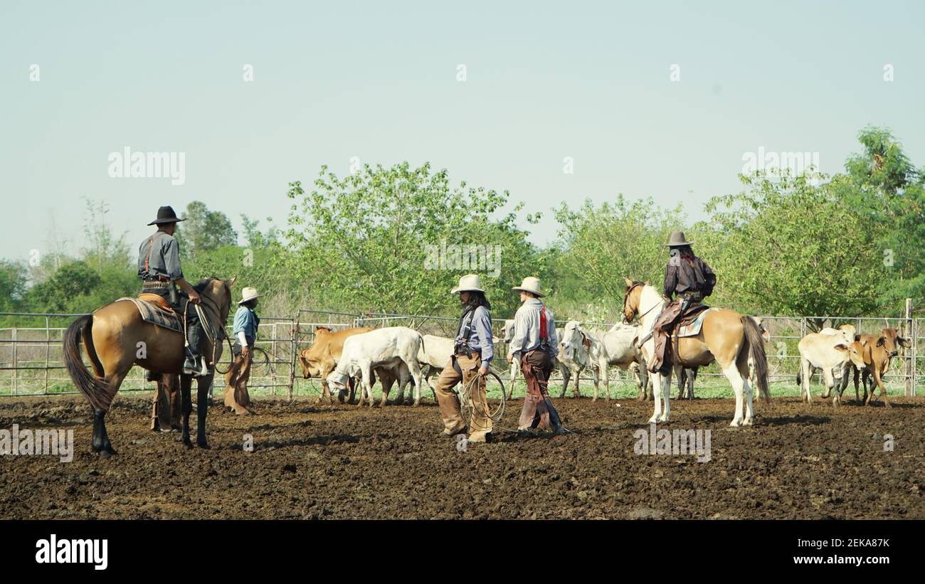 Farmer is working on farm with dairy cows in fence Stock Photo - Alamy