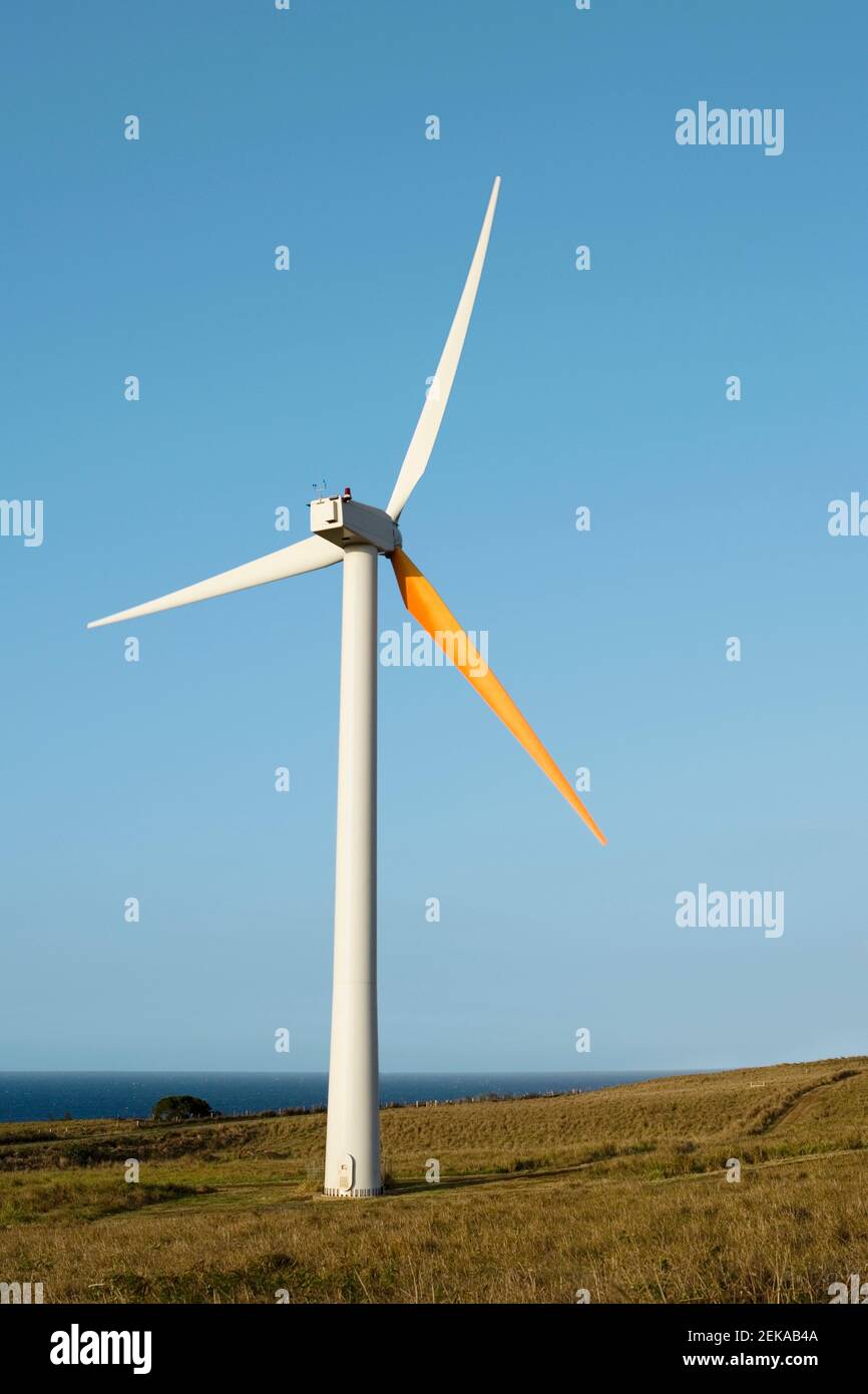 Wind turbine in a field, Pakini Nui Wind Project, South Point, Big