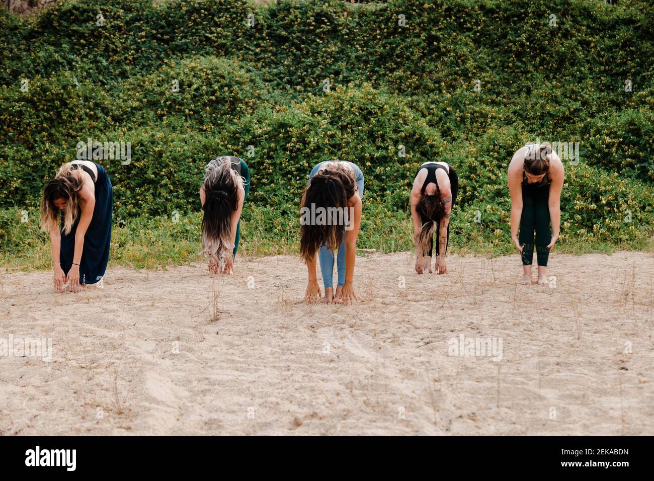Women with yoga instructor practicing Uttanasana on sand against plants Stock Photo
