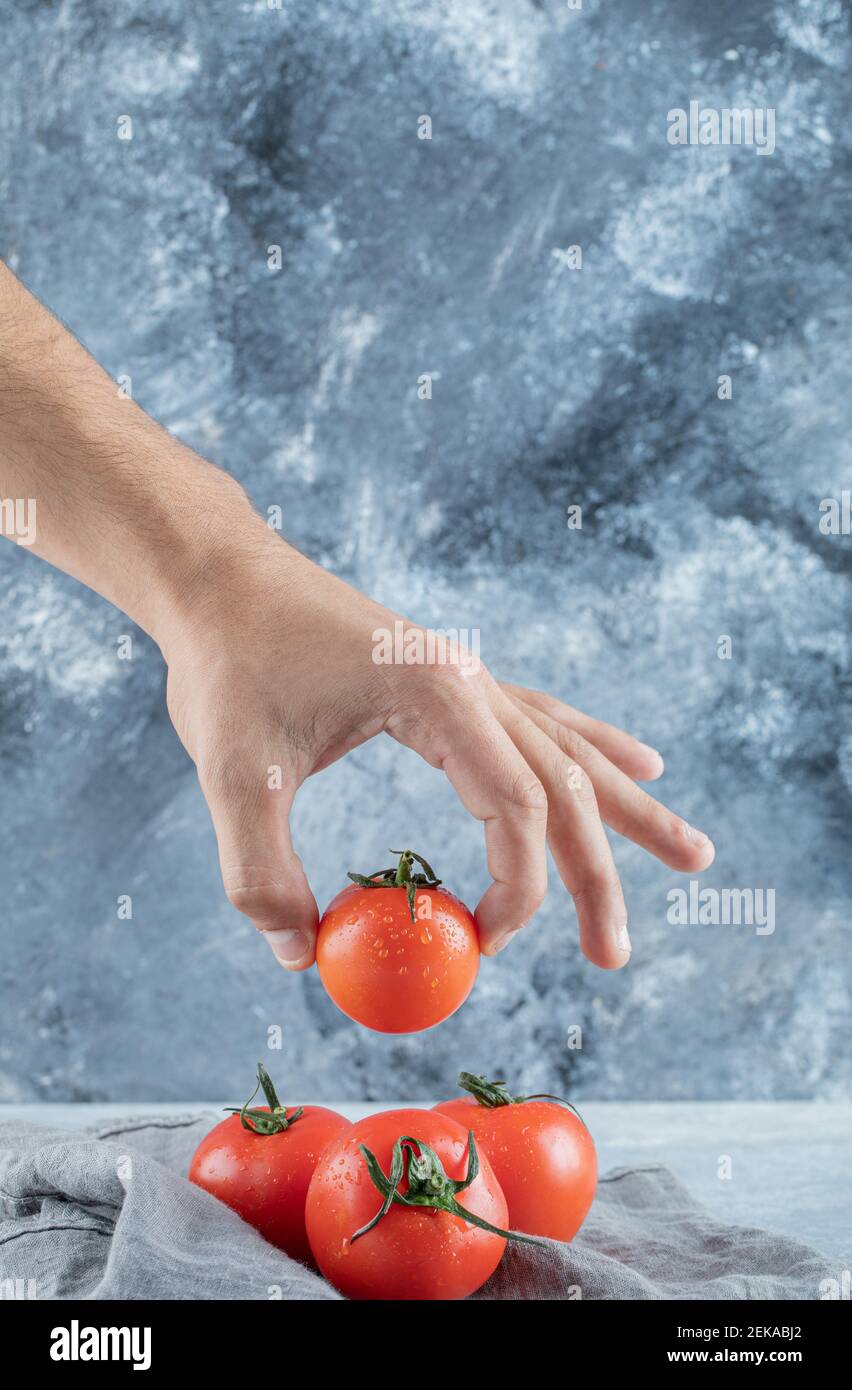 Hand taking a fresh whole tomato on a gray background Stock Photo