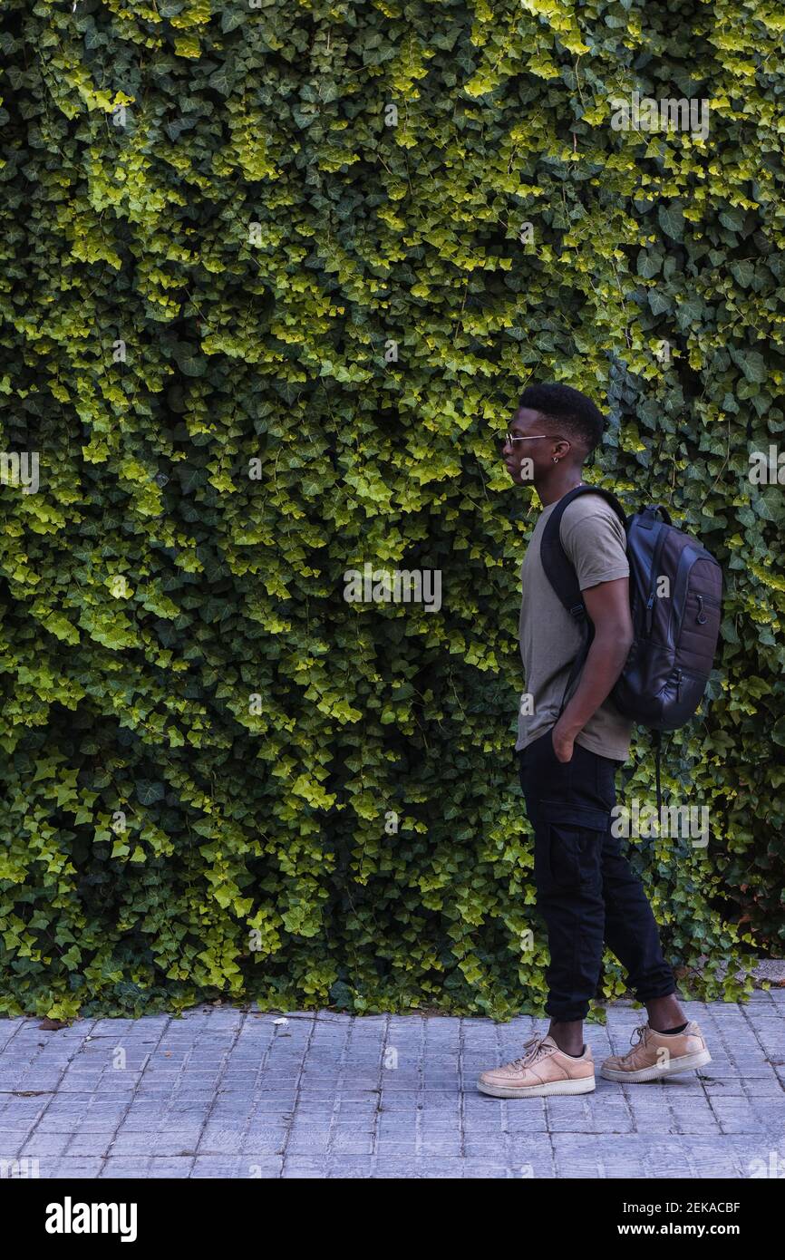 Young man walking by hedge while hands in pockets at park Stock Photo