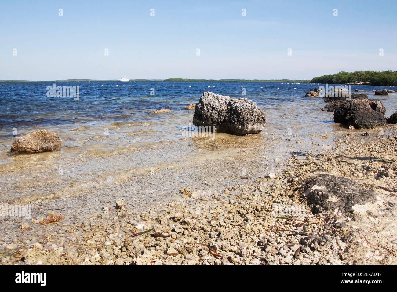 Rocks on the coast, John Pennekamp Coral Reef State Park, Key Largo