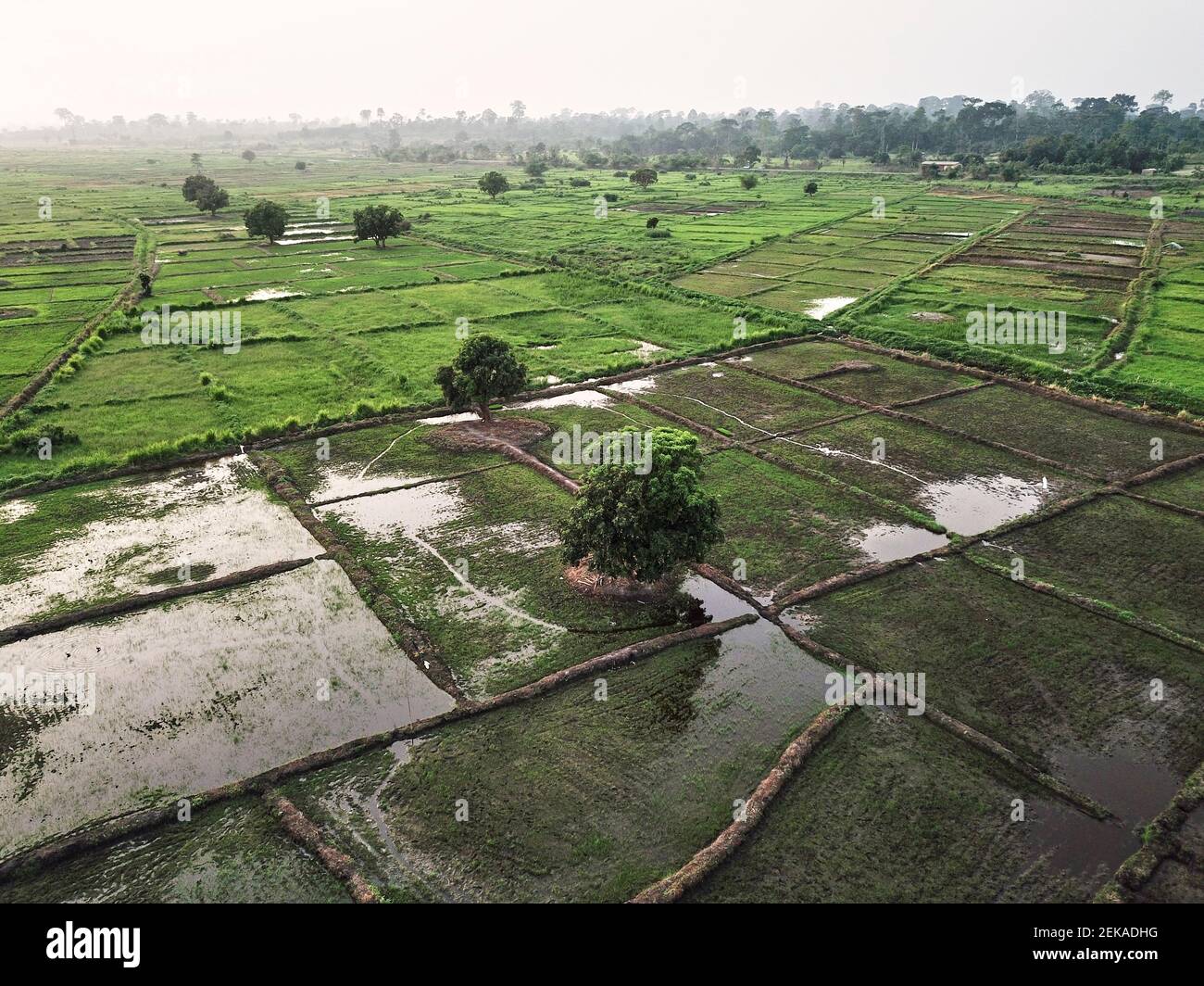 Ivory coast landscape hires stock photography and images Alamy