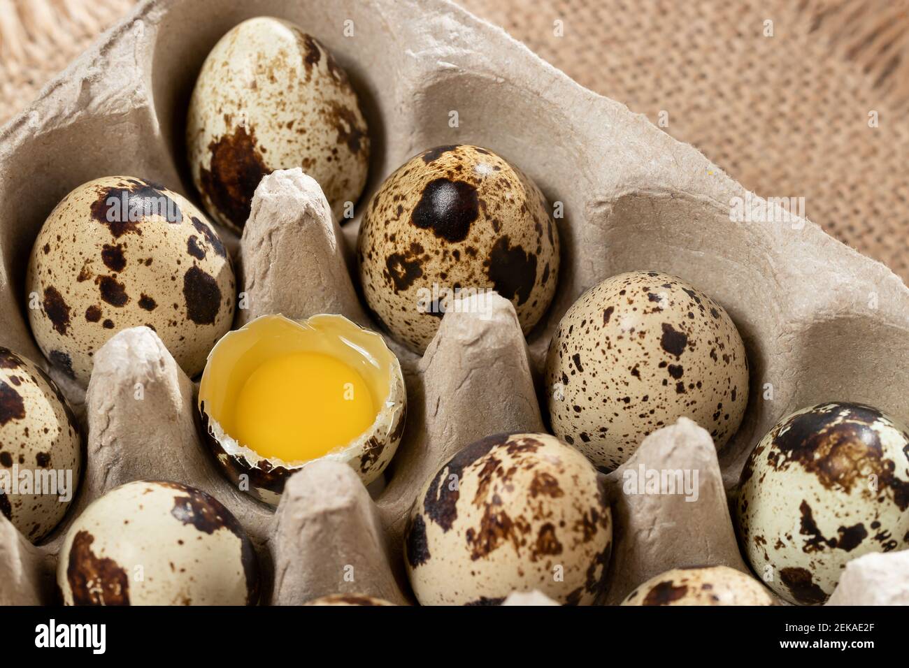 Quail eggs in cardboard packaging on a wooden table close-up. Stock Photo