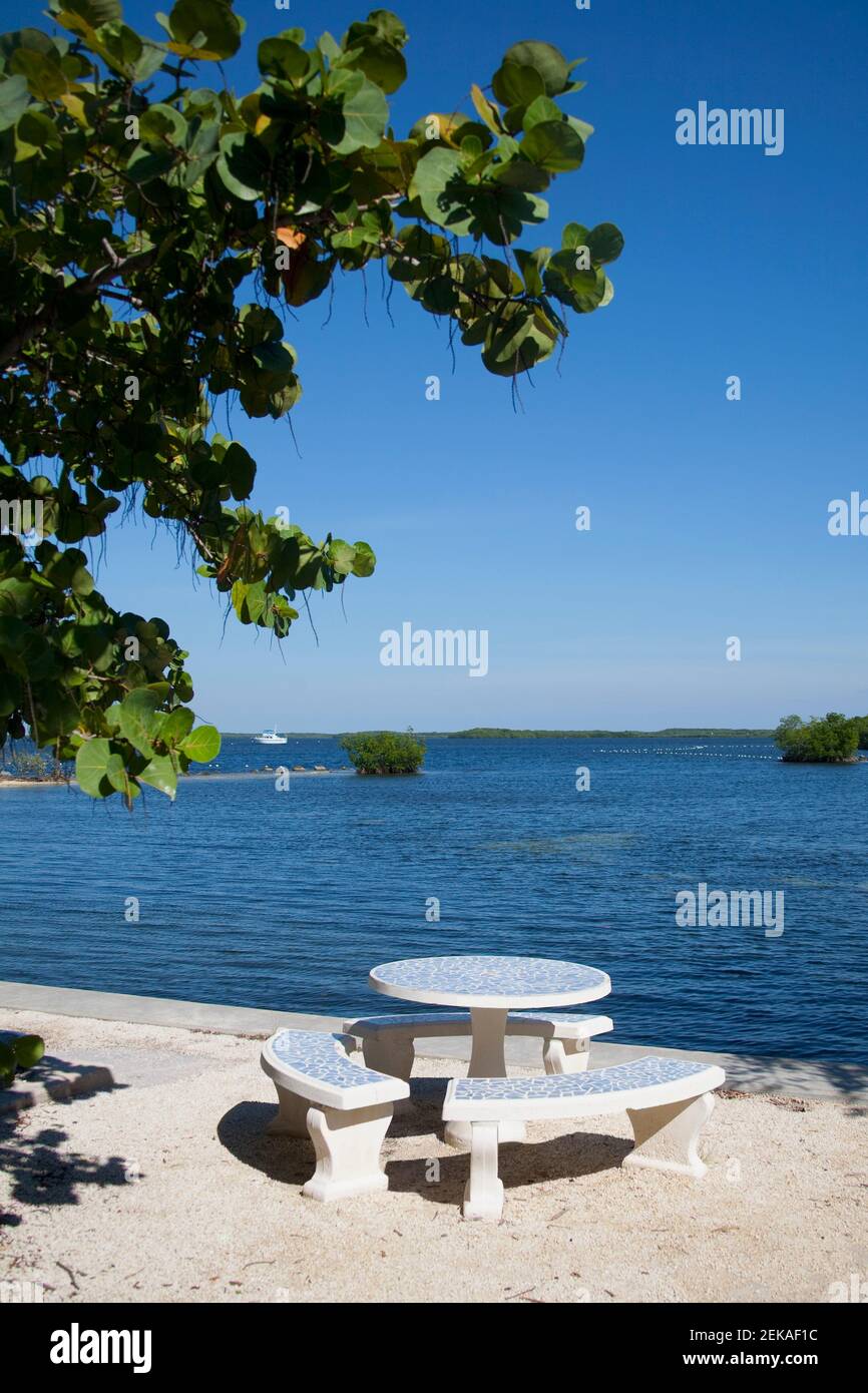 Empty picnic table on the beach, John Pennekamp Coral Reef State Park