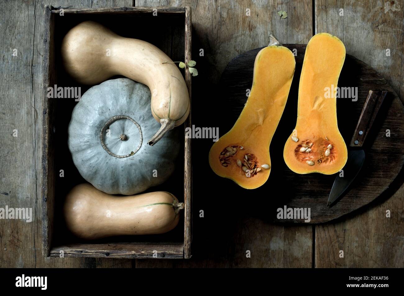 Butternut pumpkins (Cucurbita moschata) cut in halves and Crown Prince pumpkin (Cucurbita maxima) against rustic background Stock Photo