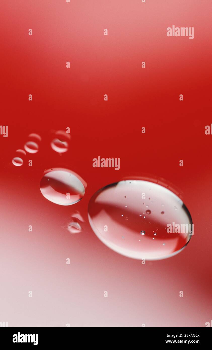 Drops of water on a red background Stock Photo