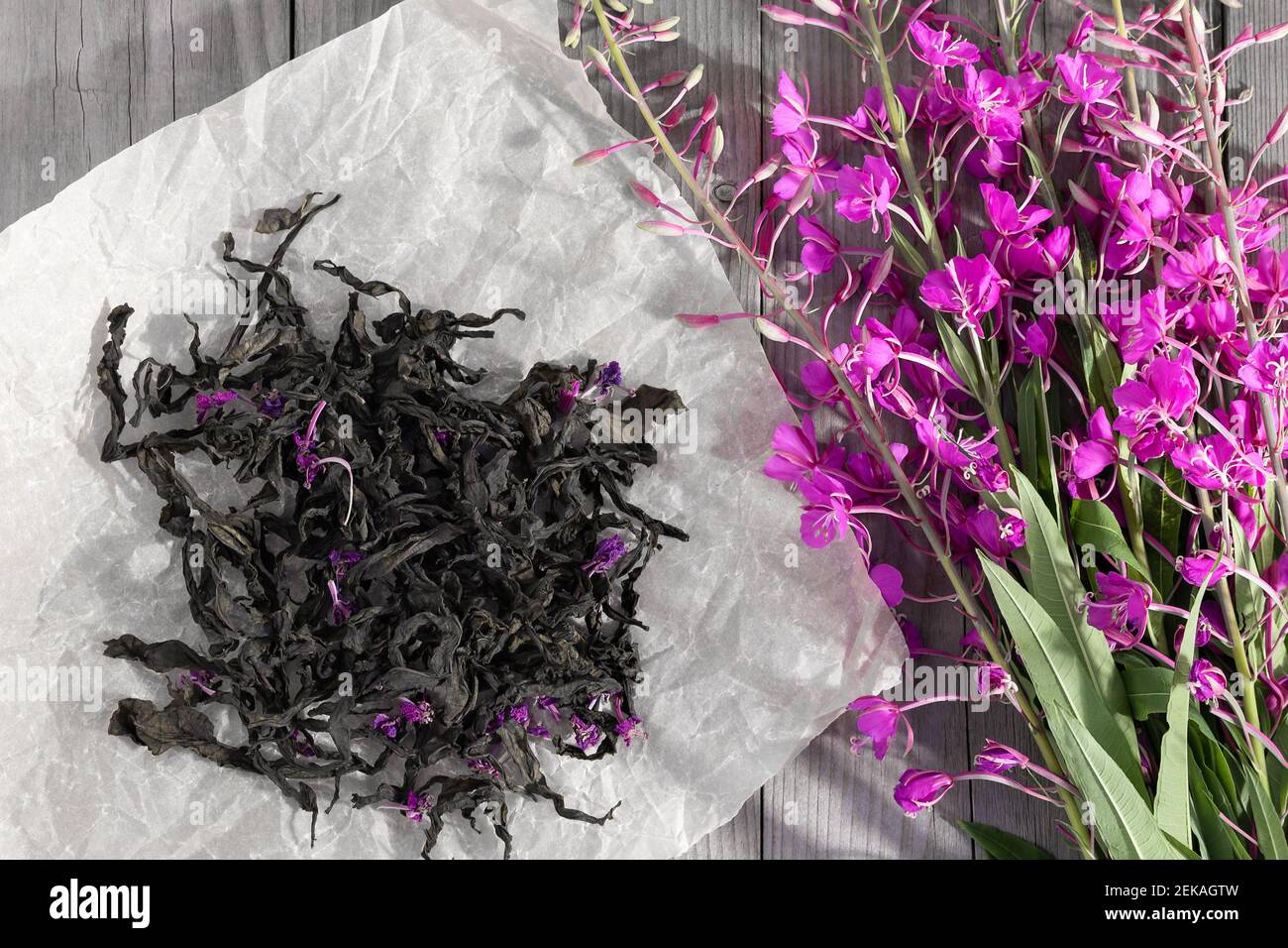 Herb is fireweed known as blooming sally and fermented dry tea. Stock Photo