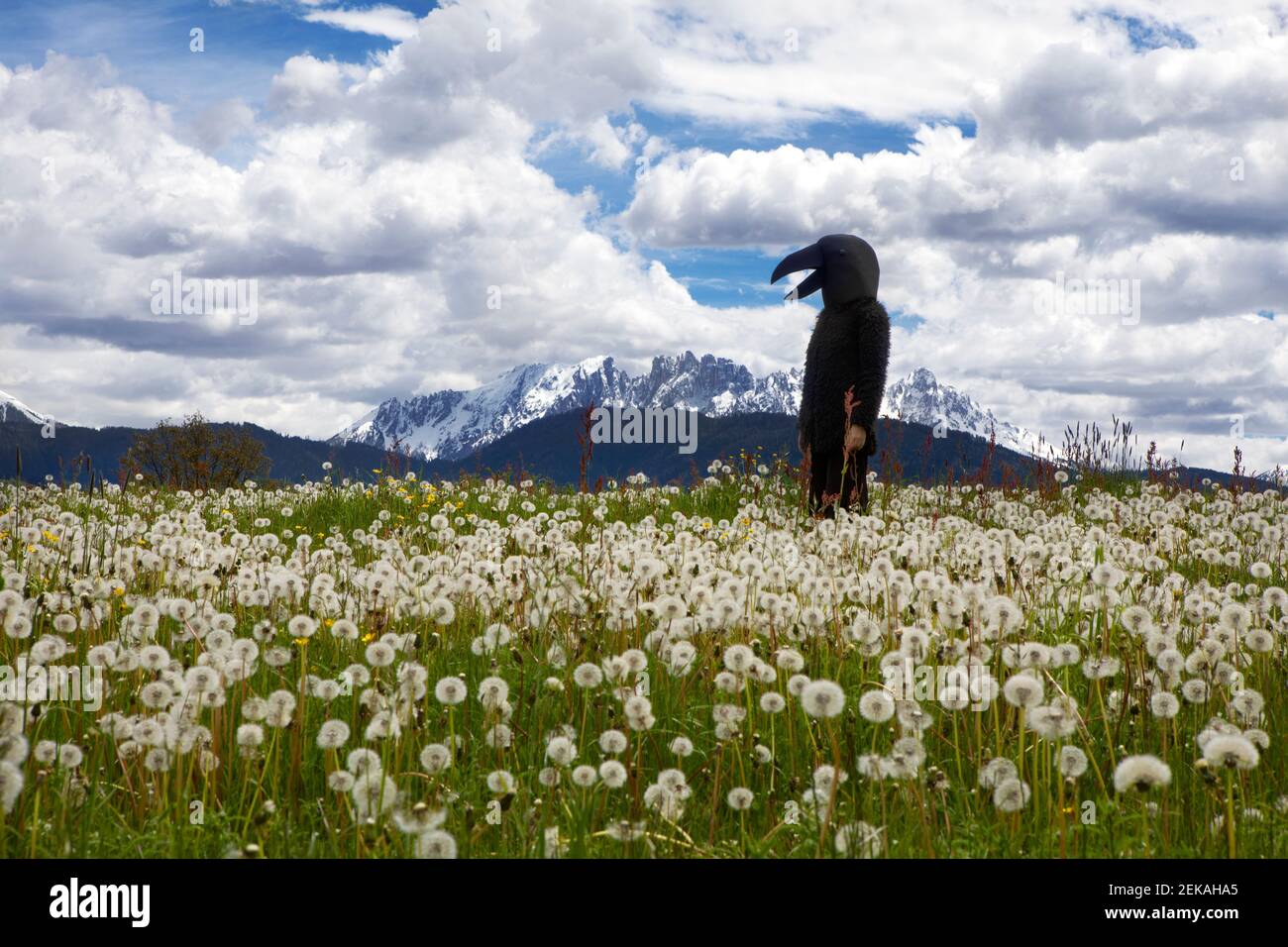Woman wearing crow costume standing amidst meadow against cloudy sky Stock Photo