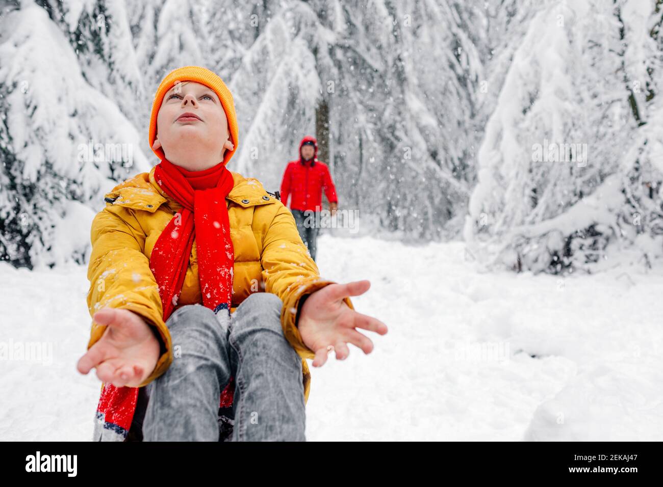 Boy looking up while sitting with man in background at forest during snowing Stock Photo