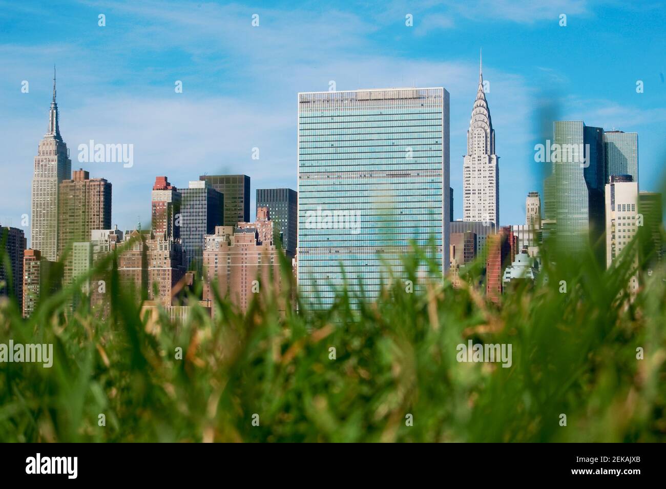 Plants with Manhattan skyline in the background, New York City, New York State, USA Stock Photo