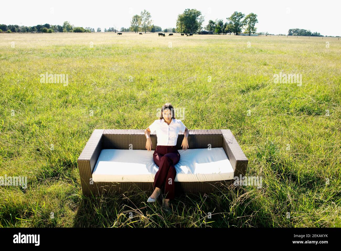 Businesswoman sitting on a sofa in a grassland Stock Photo