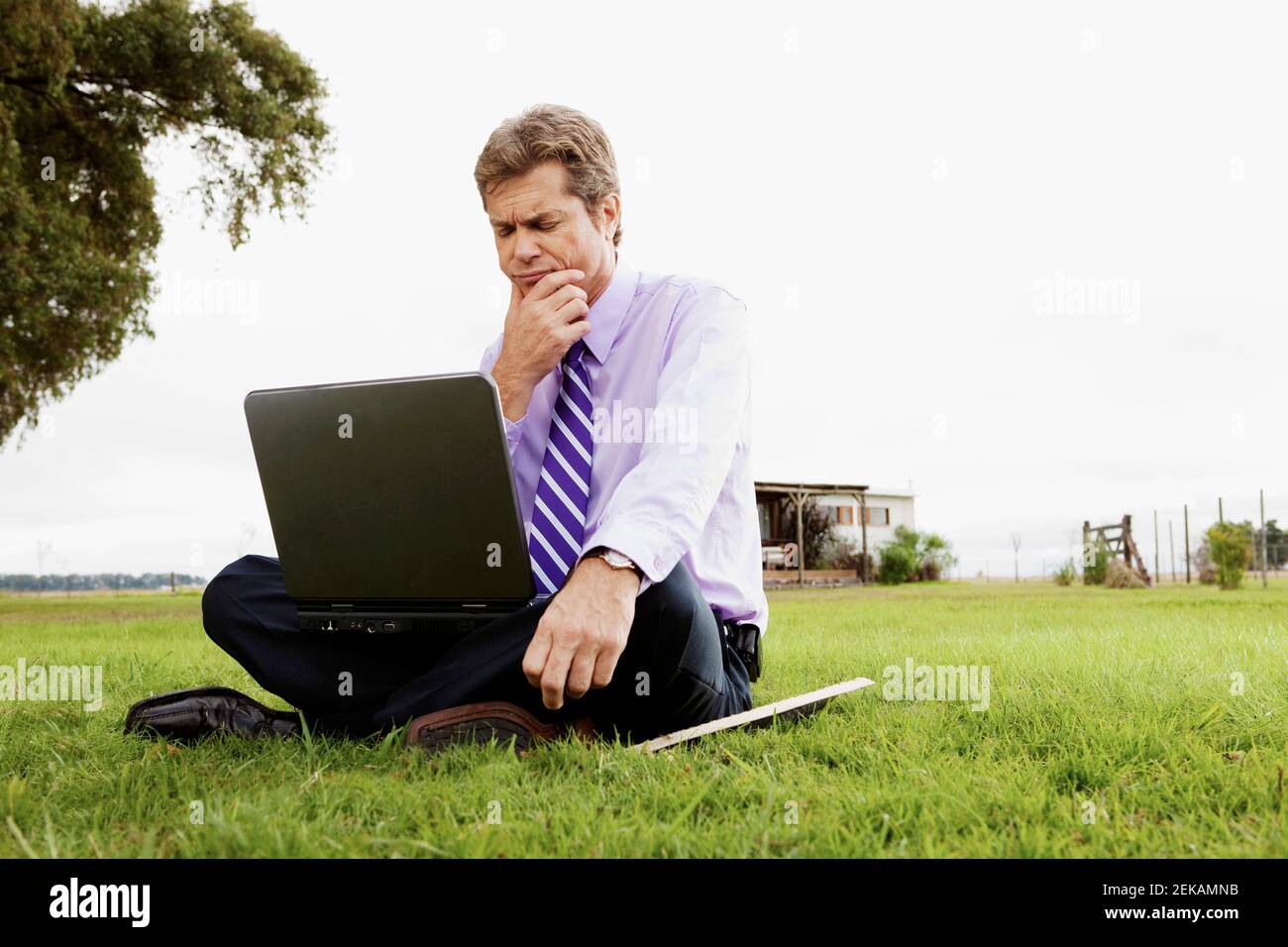 Businessman using a laptop in a field Stock Photo
