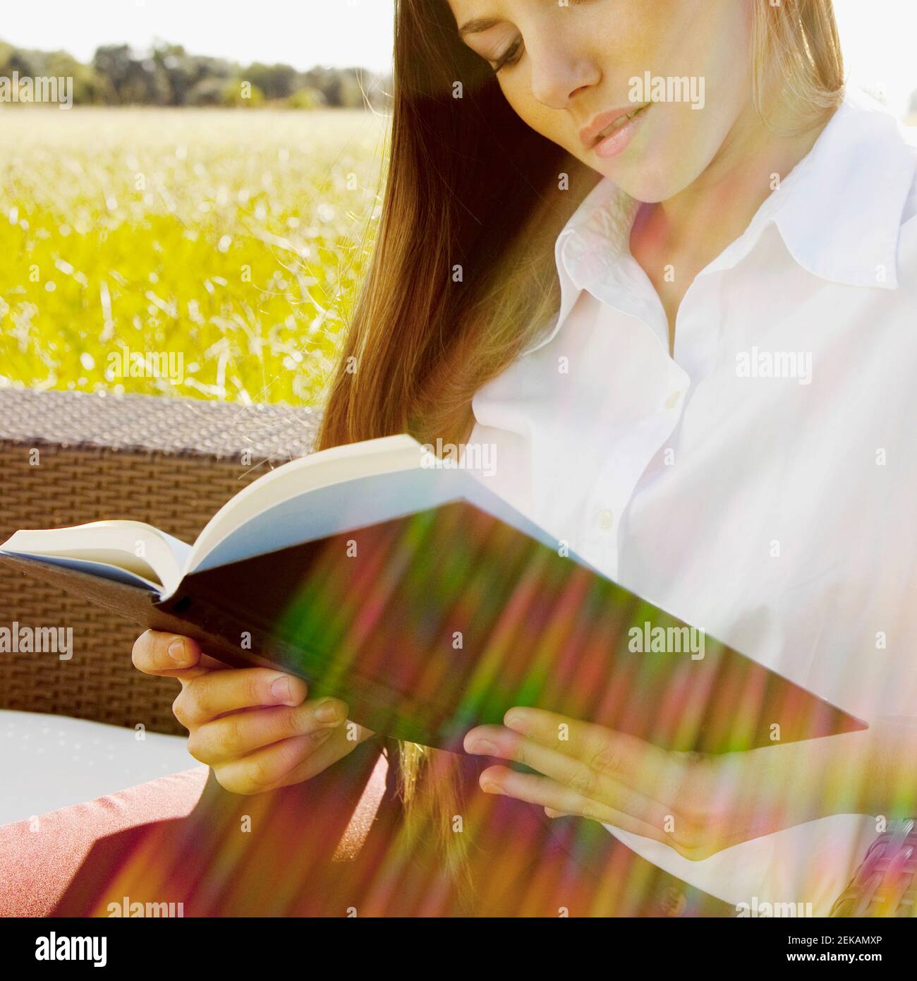 Businesswoman reading a book on a sofa in a grassland Stock Photo