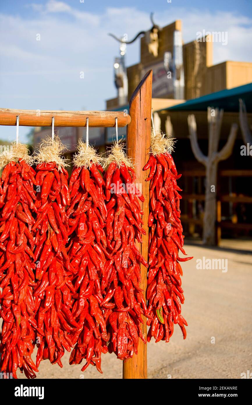 Chili peppers on a market stall hi-res stock photography and images - Alamy