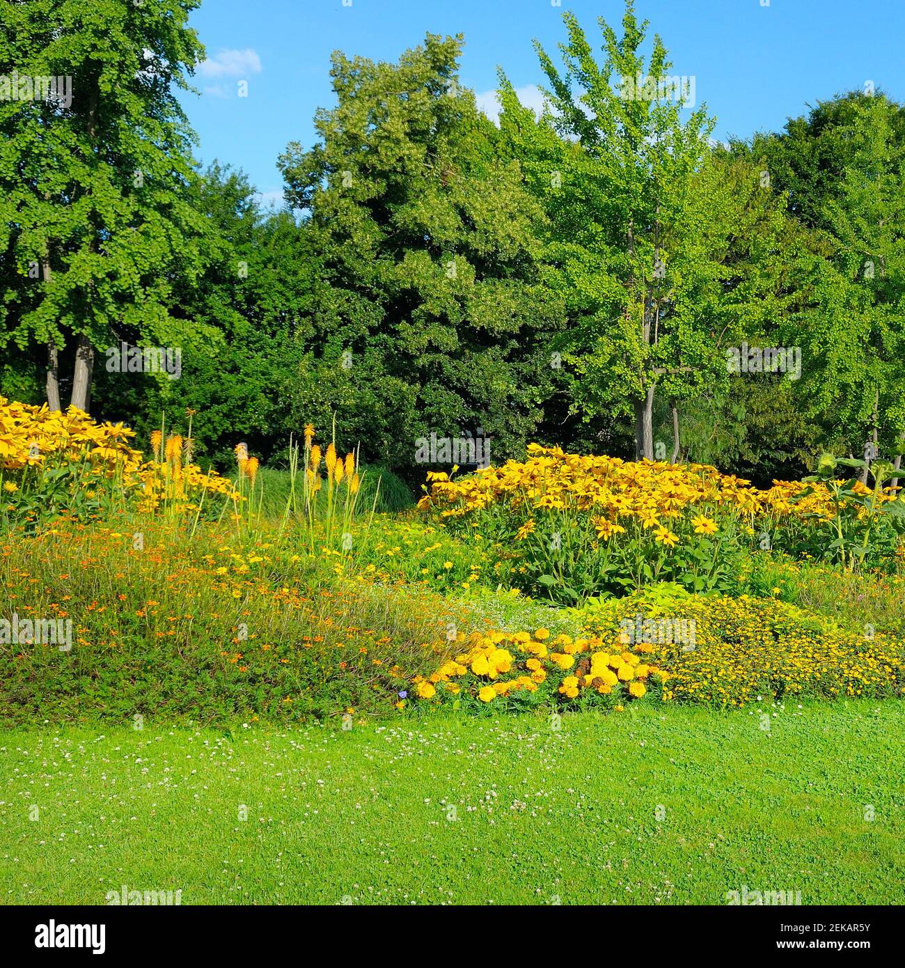 Summer park with beautiful flower beds. A bright sunny day Stock Photo ...