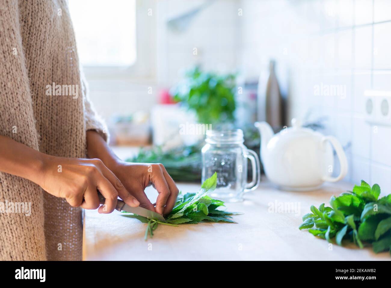 Woman's hand cutting herbal leavers to prepare tea in kitchen Stock Photo