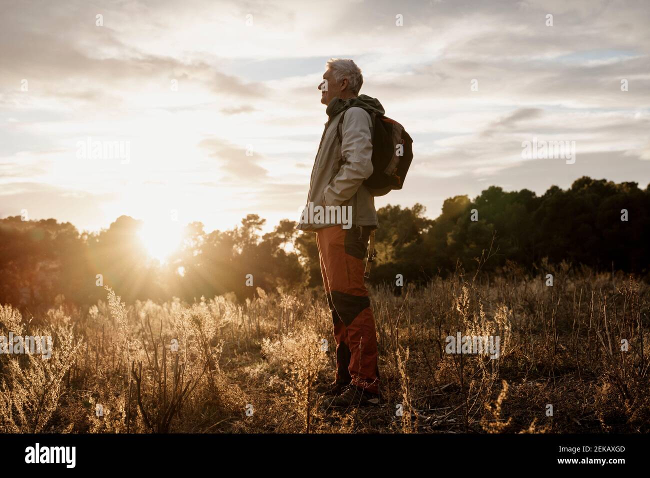 Side view caucasian male field hi-res stock photography and images - Alamy