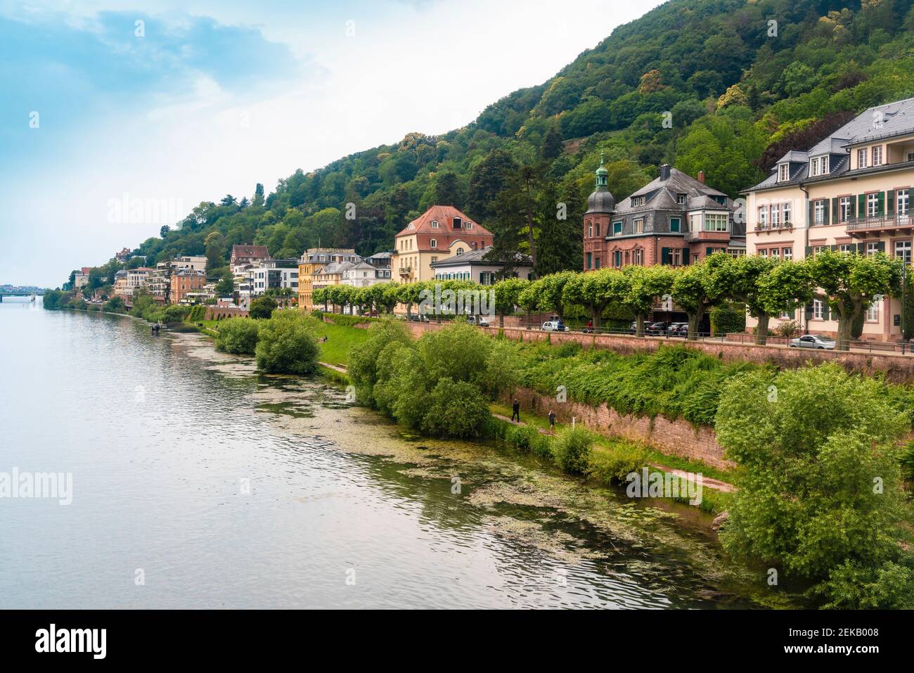 Germany, Baden-Wurttemberg, Heidelberg, Bank of Neckar and riverside houses in Neuenheim district Stock Photo