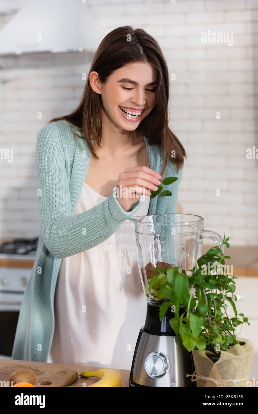 pregnant woman laughing while adding mint leaves in blender Stock Photo