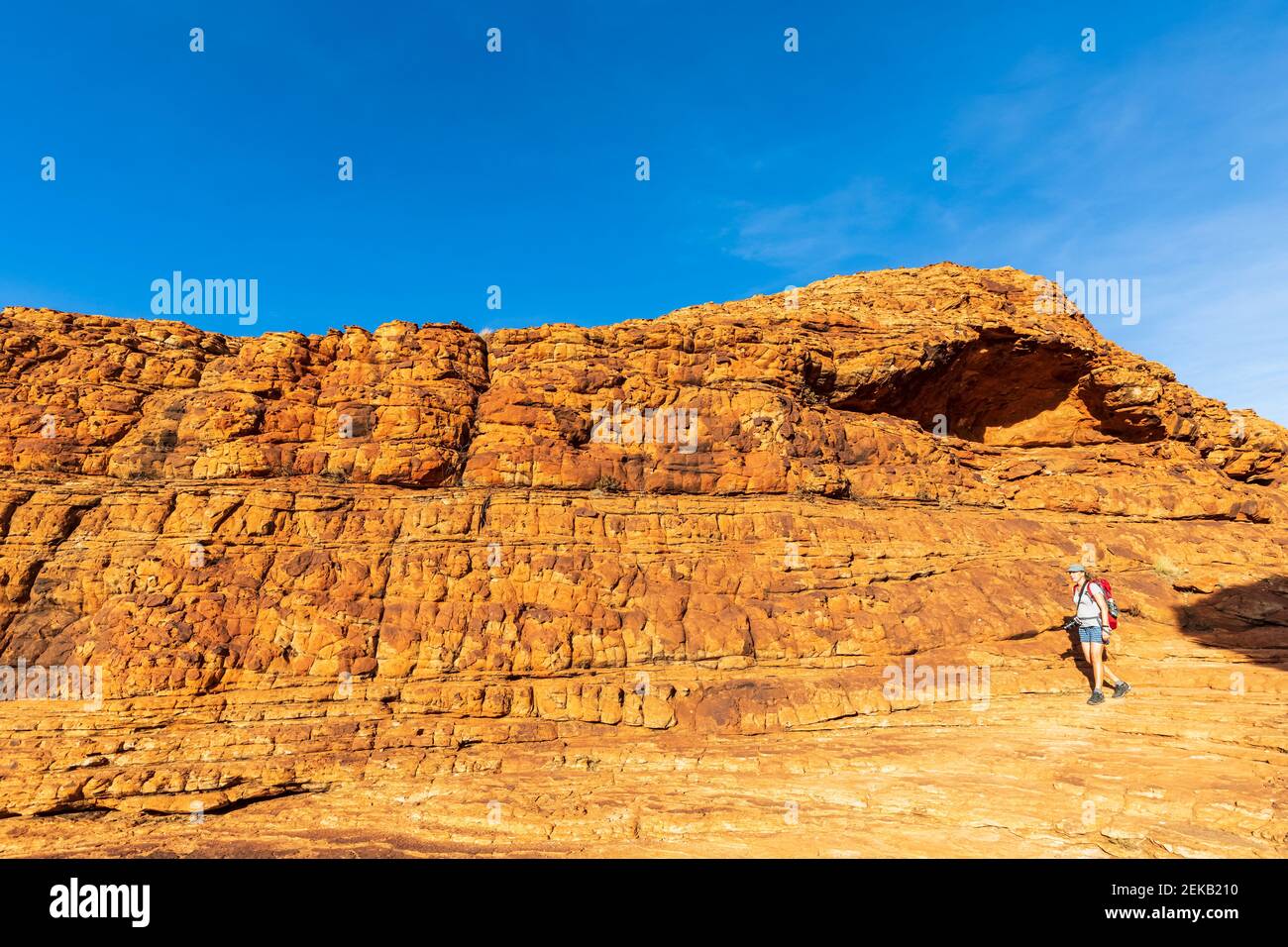 Mature woman alone walking park hi-res stock photography and images - Alamy