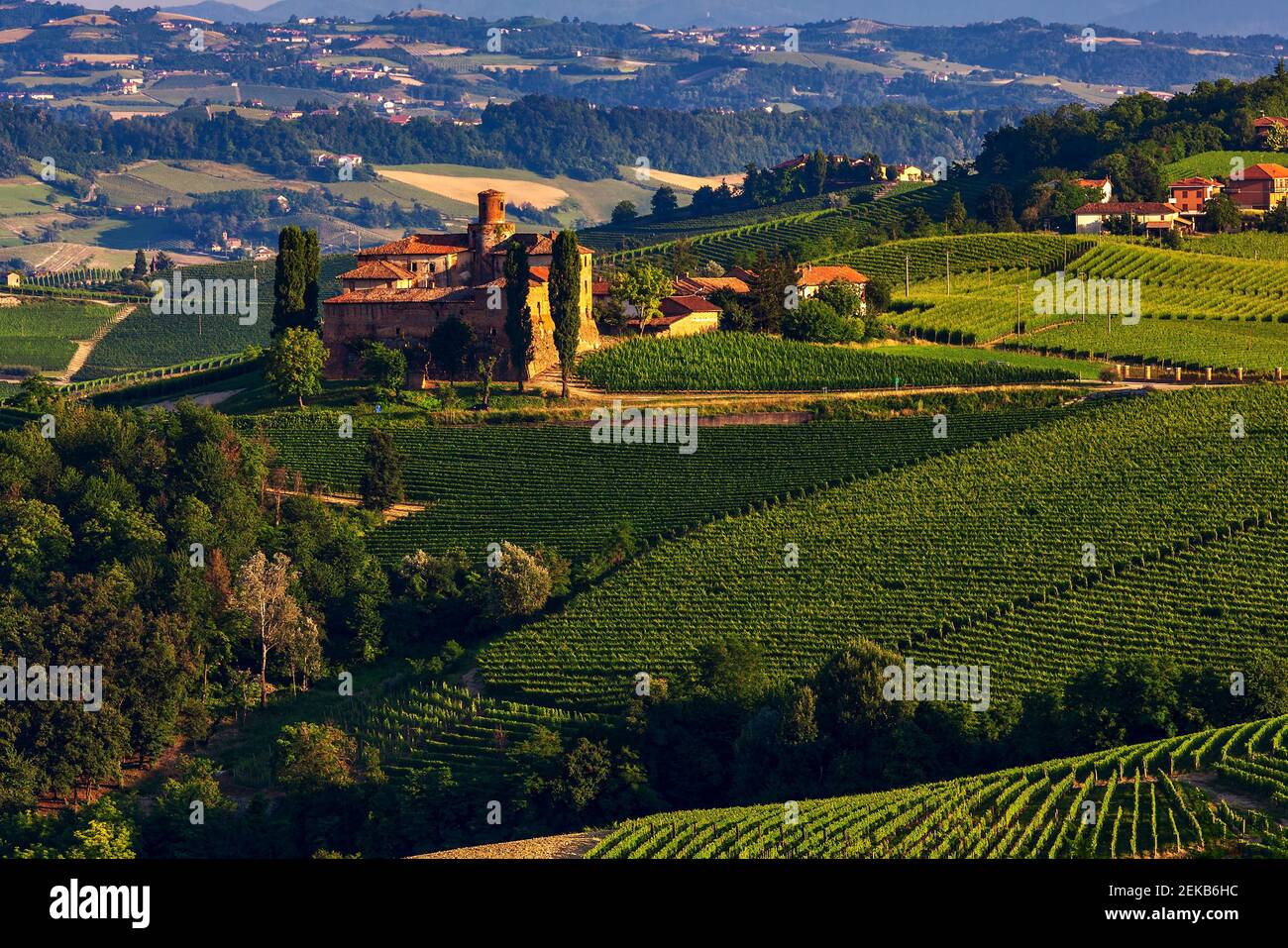 View of hills and green vineyards in Piedmont, Northern Italy. Stock Photo
