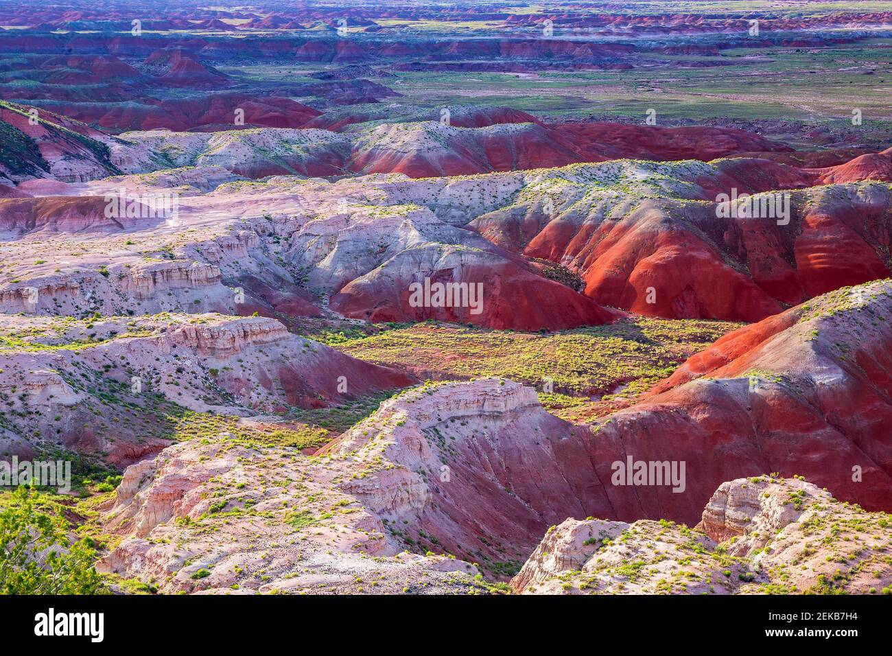 Landscape scenery at Petrified Forest, national park, Arizona, USA Stock Photo