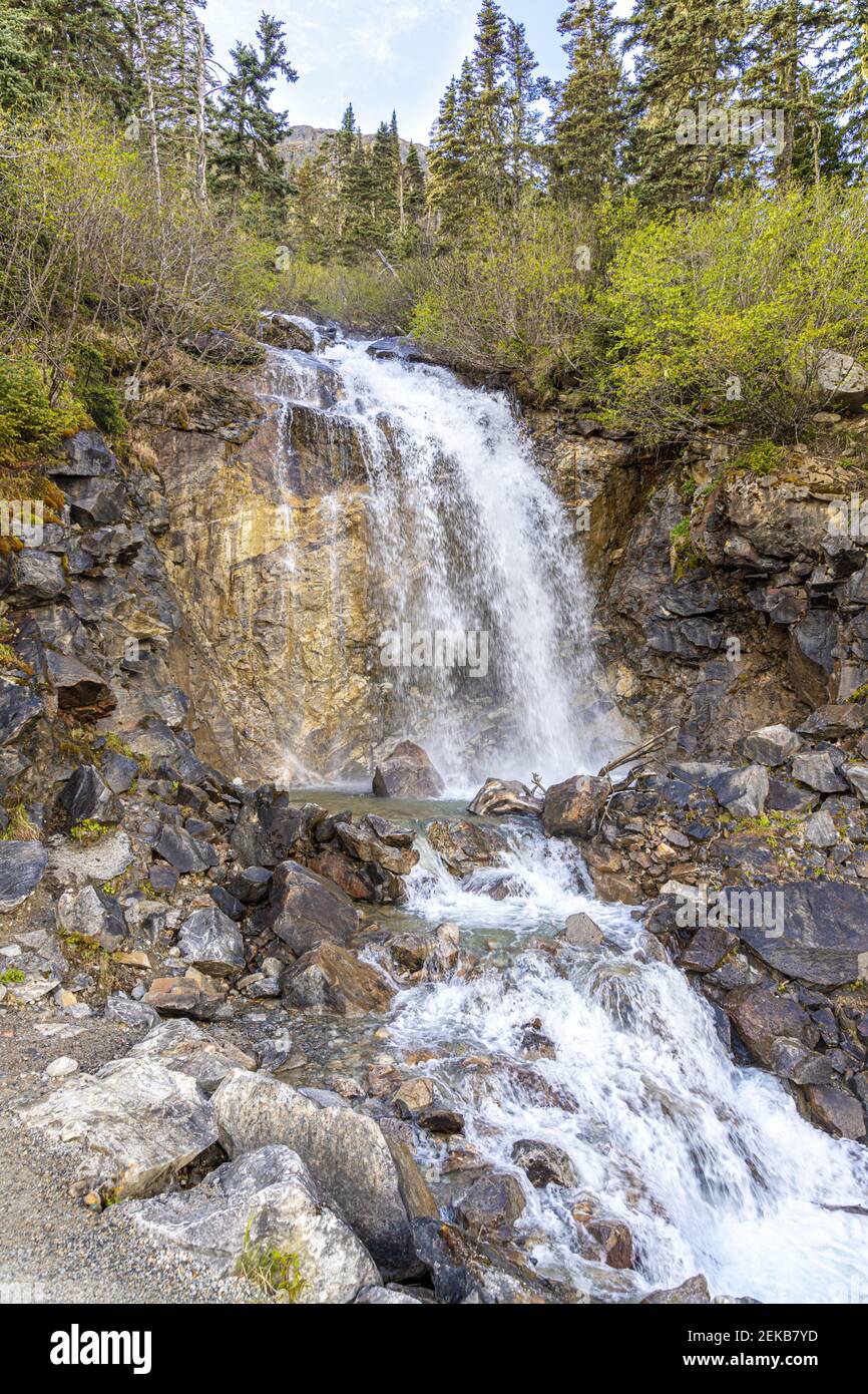 A waterfall in early June near the Canada/USA border beside the Klondike Highway NE of Skagway, Alaska, USA Stock Photo