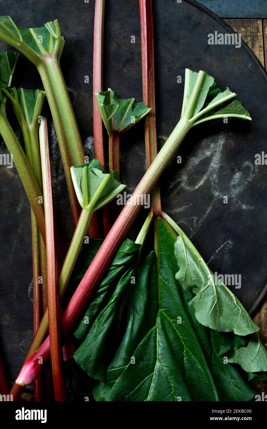 Fresh rhubarb on rustic baking sheet Stock Photo
